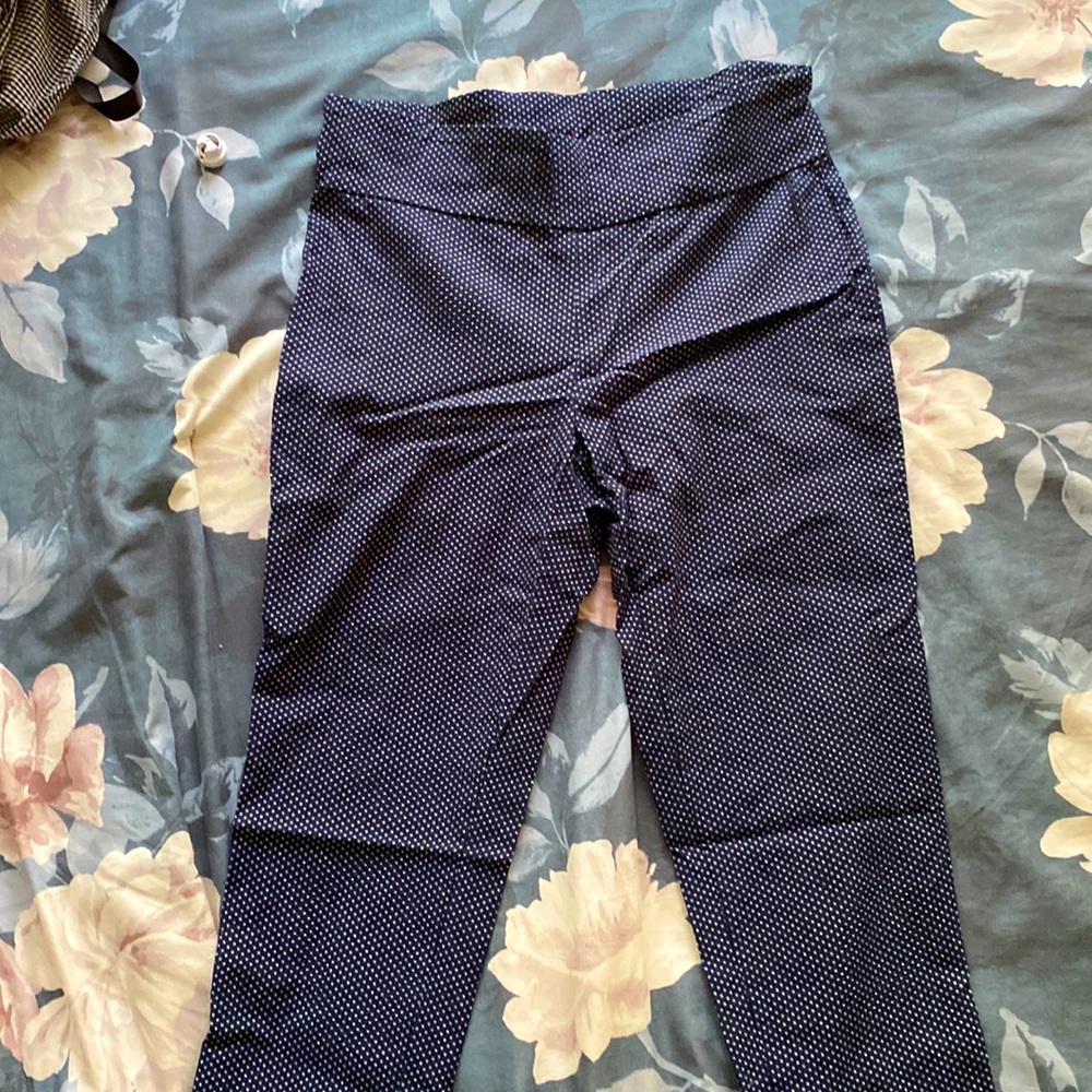Blue Ankle Cut Pants | Size L/G